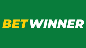 Discover the Excitement of Baji Live Your Ultimate Betting Platform